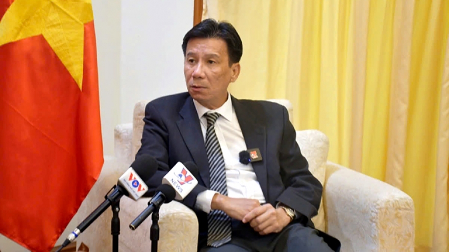 Vietnam-Indonesia Strategic Partnership bearing fruit, says ambassador